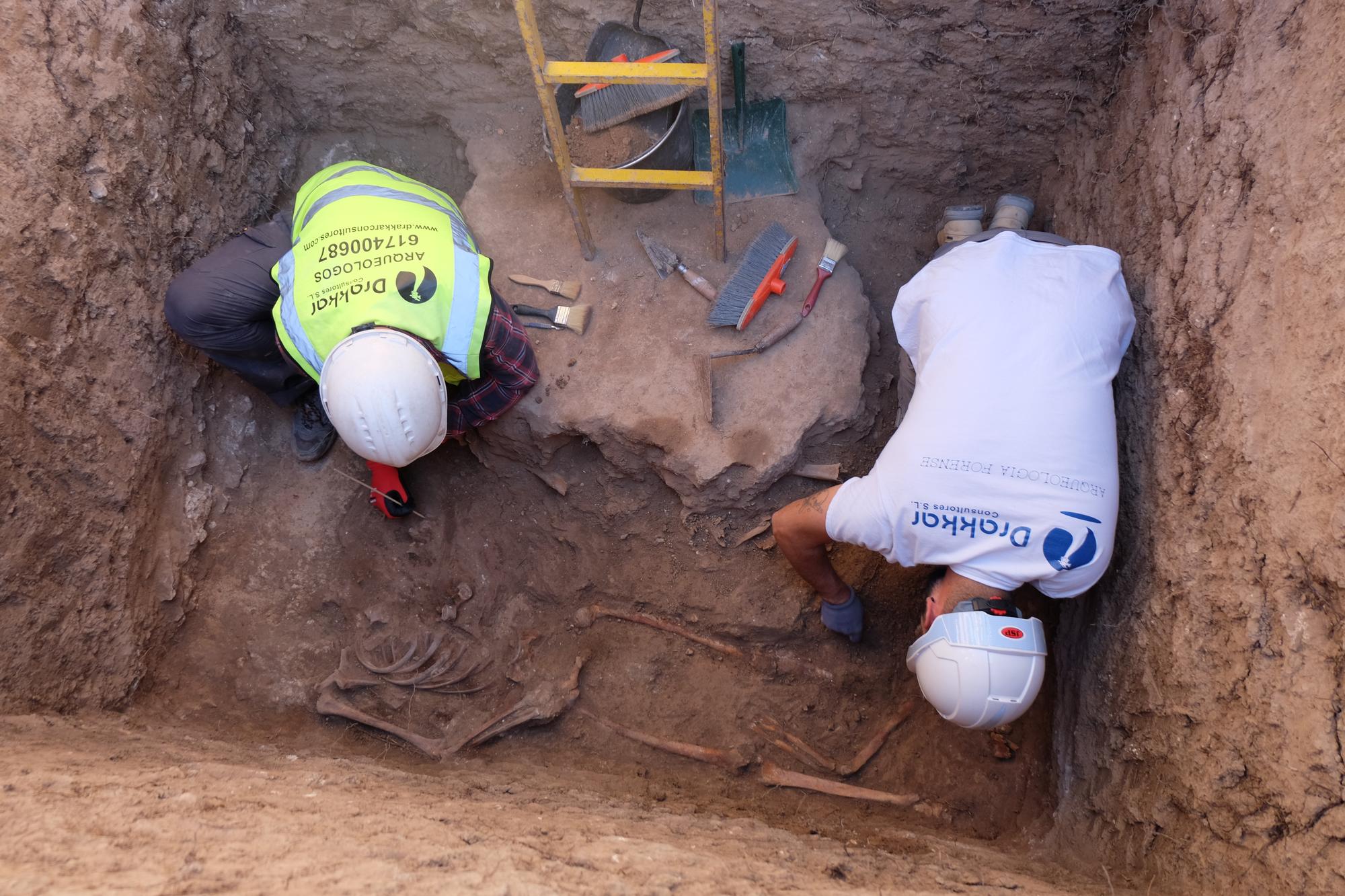 excavacion Fosa XXXVI cementerio alicante